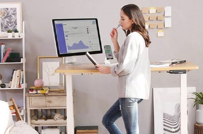  The Ultimate Guide To Standing Desk By Flexi Spot